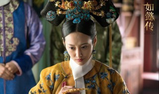 卫嬿婉是谁 孝仪纯皇后简介