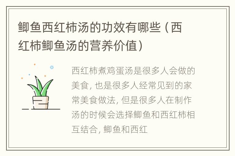 鲫鱼西红柿汤的功效有哪些（西红柿鲫鱼汤的营养价值）