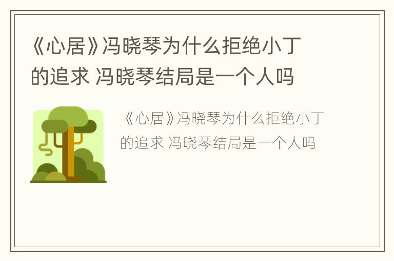 《心居》冯晓琴为什么拒绝小丁的追求 冯晓琴结局是一个人吗