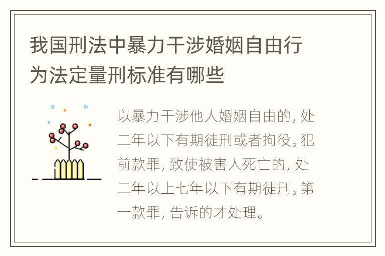我国刑法中暴力干涉婚姻自由行为法定量刑标准有哪些