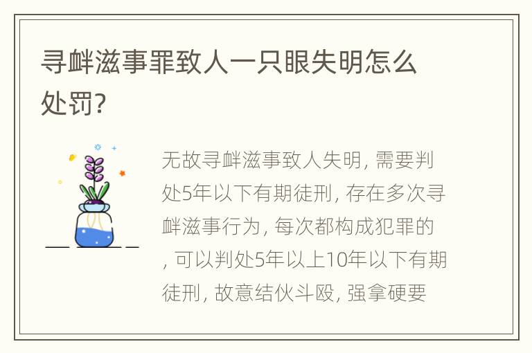 寻衅滋事罪致人一只眼失明怎么处罚？