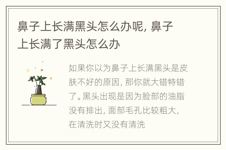 鼻子上长满黑头怎么办呢，鼻子上长满了黑头怎么办