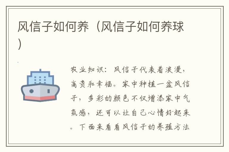 风信子如何养（风信子如何养球）