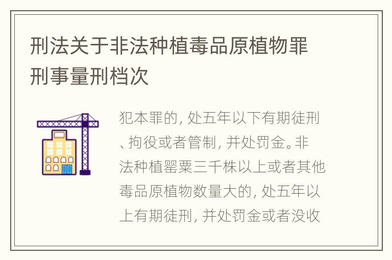 刑法关于非法种植毒品原植物罪刑事量刑档次