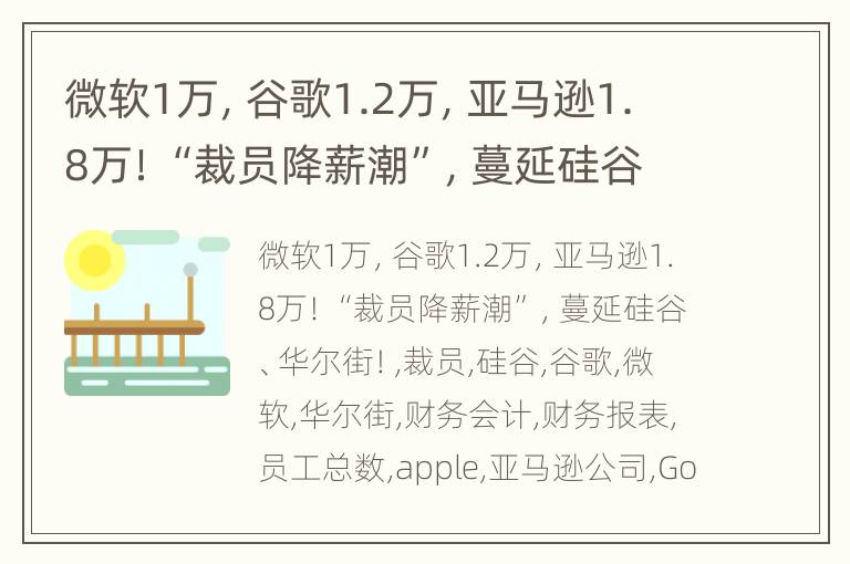 微软1万，谷歌1.2万，亚马逊1.8万！“裁员降薪潮”，蔓延硅谷、华尔街！