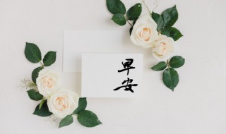 早安文案有哪些 有什么早安文案