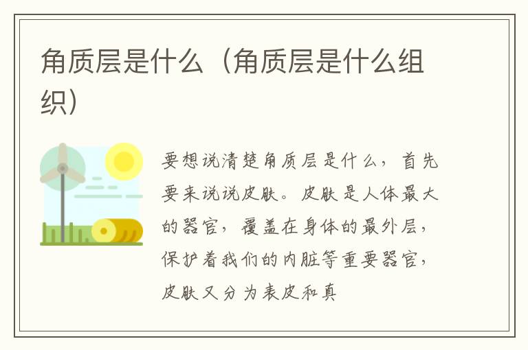 角质层是什么（角质层是什么组织）