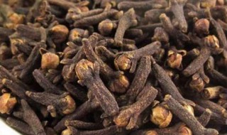 丁香的功效与作用 中药丁香的功效与作用有哪些