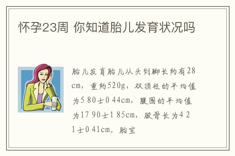 怀孕23周 你知道胎儿发育状况吗
