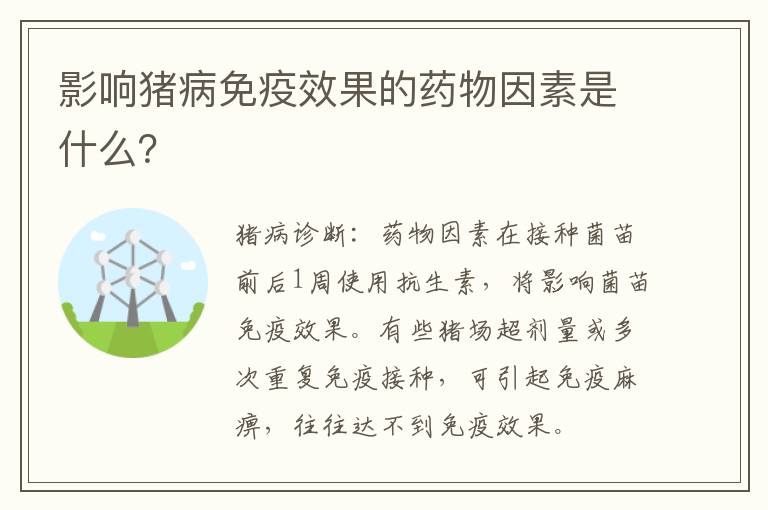 影响猪病免疫效果的药物因素是什么？