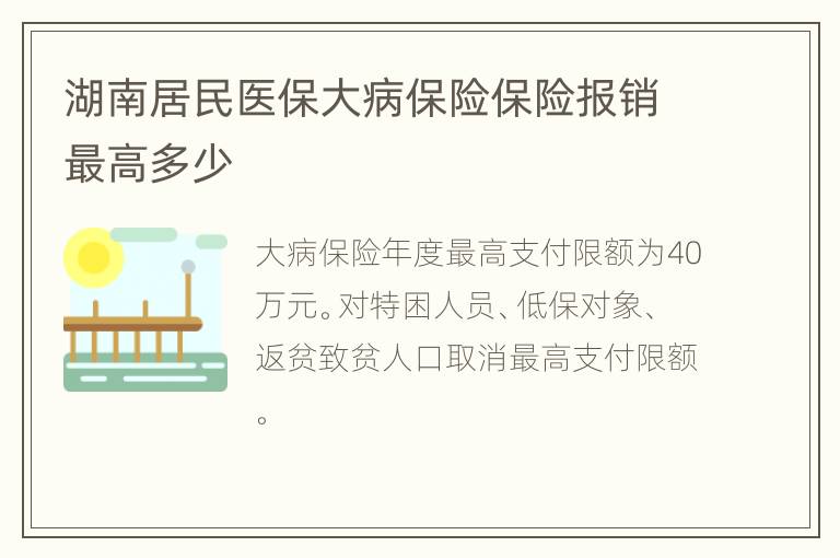 湖南居民医保大病保险保险报销最高多少