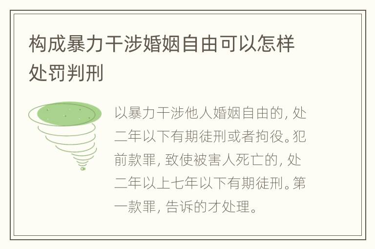 构成暴力干涉婚姻自由可以怎样处罚判刑