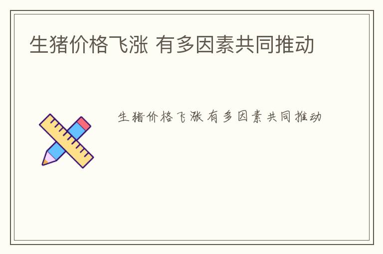 生猪价格飞涨 有多因素共同推动