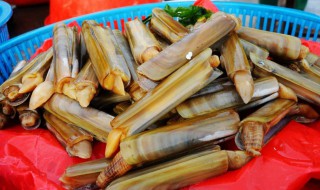 蛏子为什么撒盐就出来 蛏子撒盐出来的原因介绍