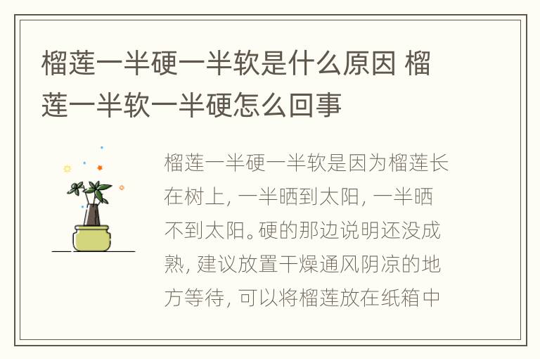 榴莲一半硬一半软是什么原因 榴莲一半软一半硬怎么回事
