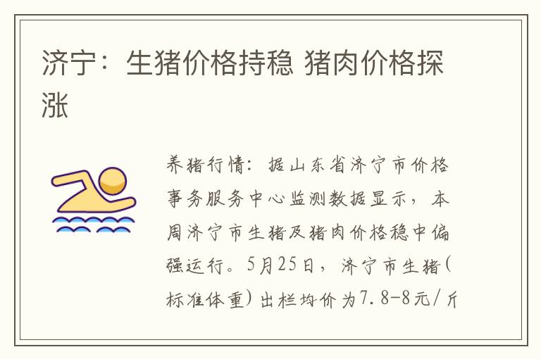济宁：生猪价格持稳 猪肉价格探涨