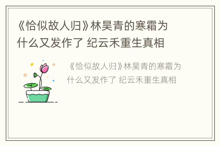 《恰似故人归》林昊青的寒霜为什么又发作了 纪云禾重生真相