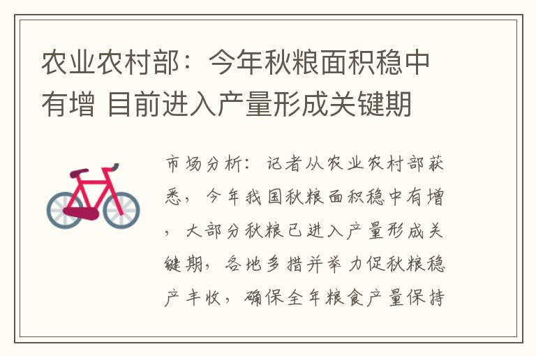 农业农村部：今年秋粮面积稳中有增 目前进入产量形成关键期
