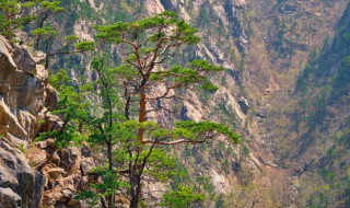 华山什么时候人少旅游（国庆节去华山的人多吗）