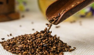 决明子和茉莉能一起泡吗 决明子和茉莉能不能一起泡