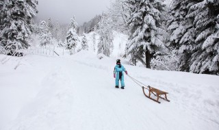 雪被指的是什么? 什么是雪被