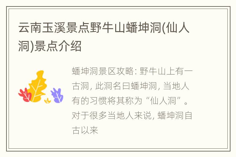 云南玉溪景点野牛山蟠坤洞(仙人洞)景点介绍