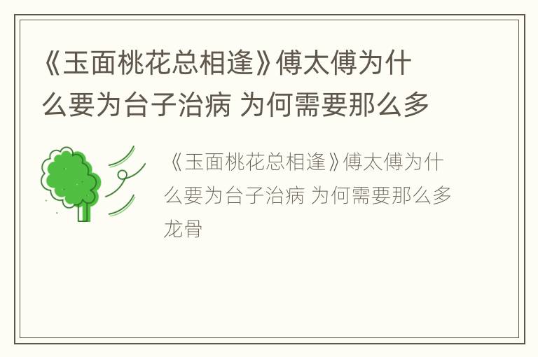 《玉面桃花总相逢》傅太傅为什么要为台子治病 为何需要那么多龙骨