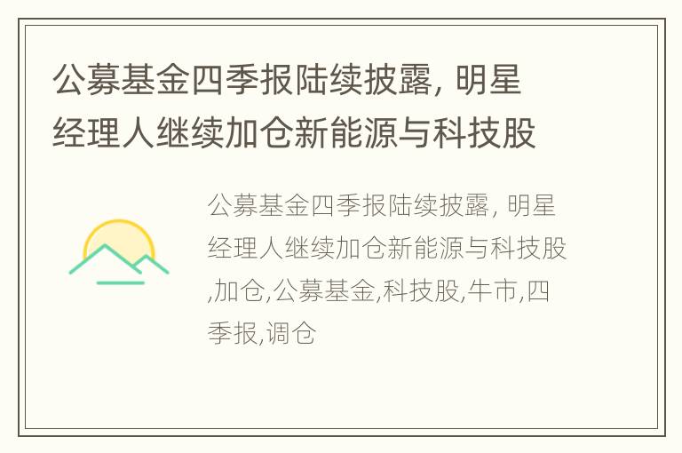 公募基金四季报陆续披露，明星经理人继续加仓新能源与科技股