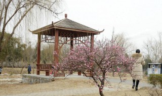 新乡有哪些景区 新乡有哪些景区带孩子好玩