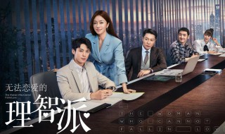 无法恋爱的理智派演员表 电视剧无法恋爱的理智派介绍