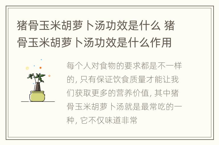 猪骨玉米胡萝卜汤功效是什么 猪骨玉米胡萝卜汤功效是什么作用