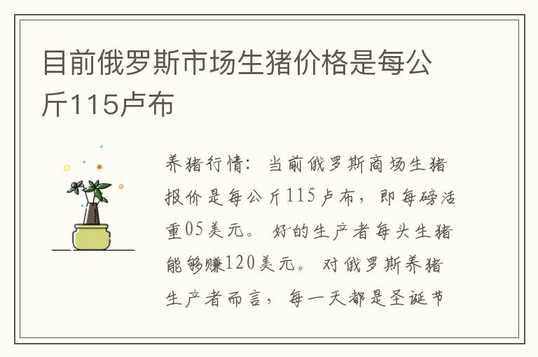 目前俄罗斯市场生猪价格是每公斤115卢布