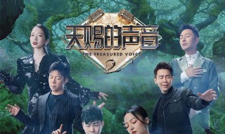 天赐的声音周传雄是哪一期 天赐的声音综艺简介
