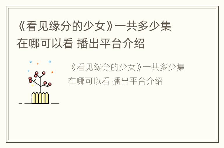 《看见缘分的少女》一共多少集在哪可以看 播出平台介绍