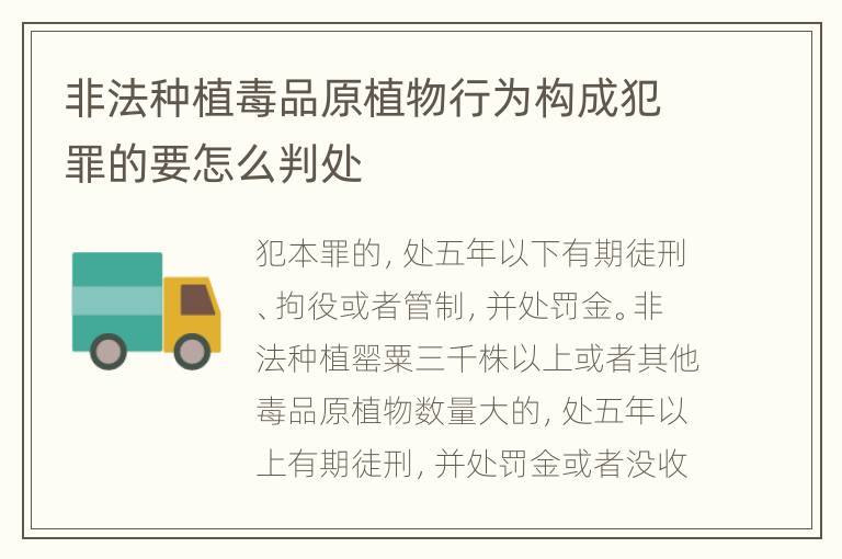 非法种植毒品原植物行为构成犯罪的要怎么判处