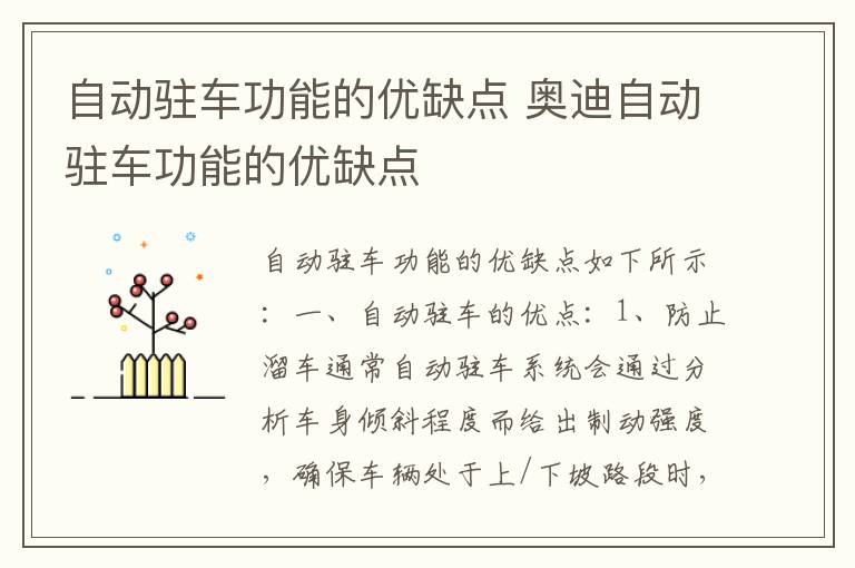自动驻车功能的优缺点 奥迪自动驻车功能的优缺点