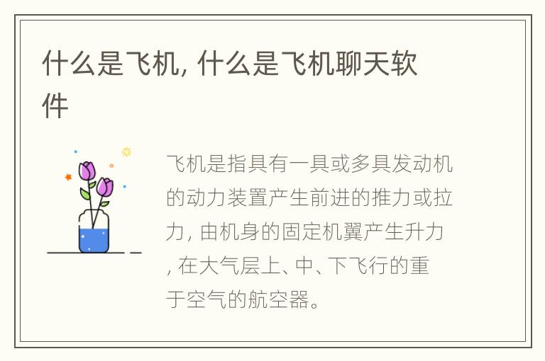什么是飞机，什么是飞机聊天软件