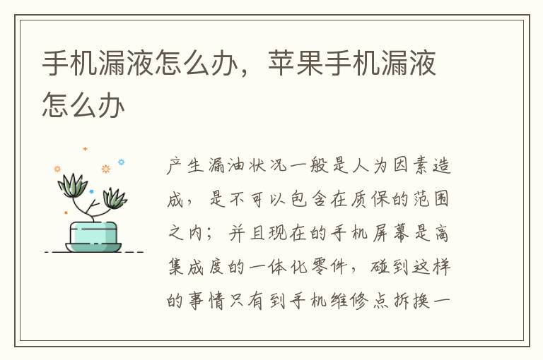 手机漏液怎么办，苹果手机漏液怎么办