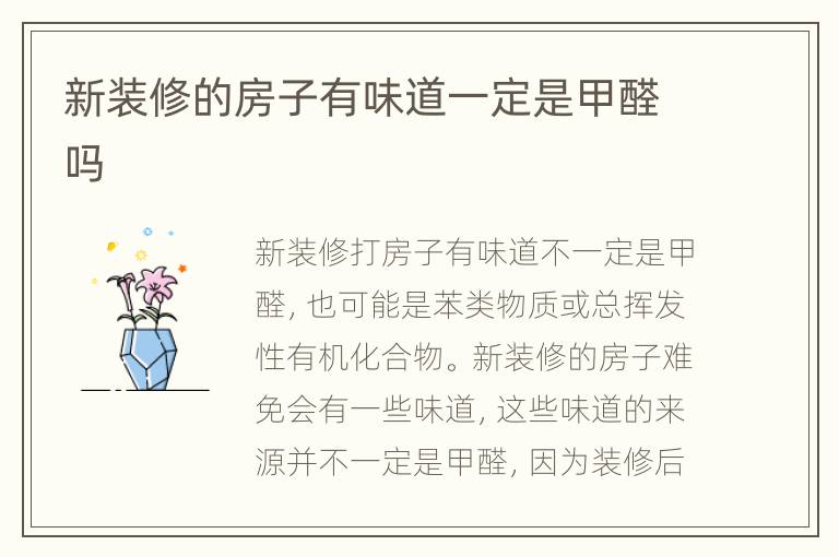新装修的房子有味道一定是甲醛吗