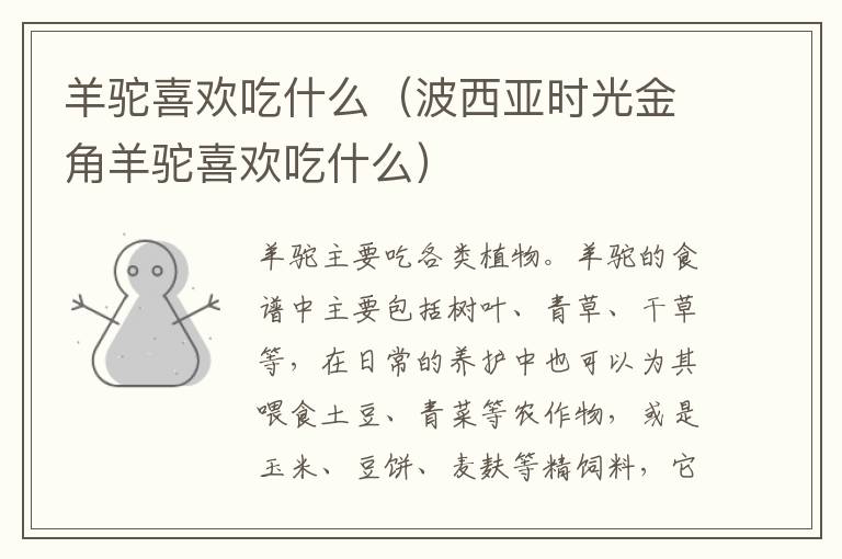 羊驼喜欢吃什么（波西亚时光金角羊驼喜欢吃什么）