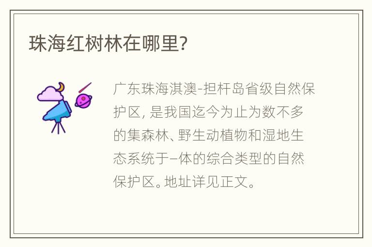珠海红树林在哪里？