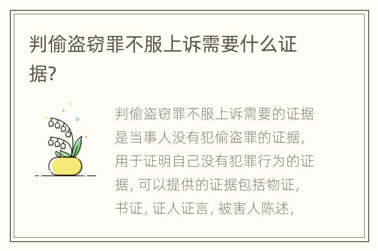 判偷盗窃罪不服上诉需要什么证据？