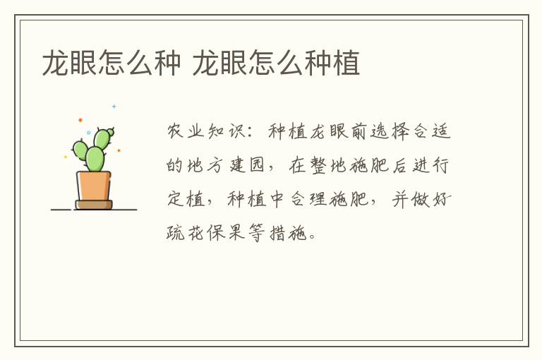 龙眼怎么种 龙眼怎么种植
