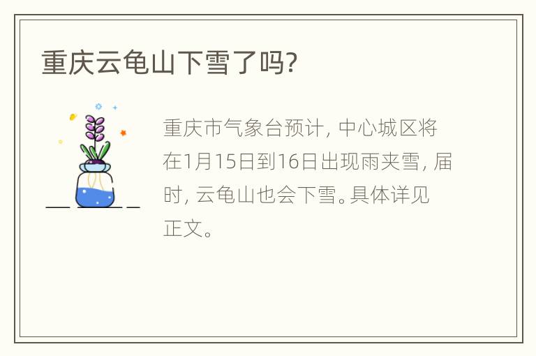 重庆云龟山下雪了吗？