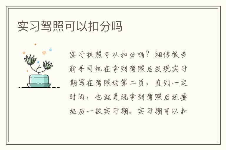 实习驾照可以扣分吗