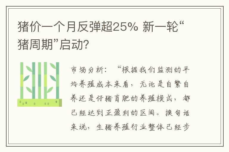 猪价一个月反弹超25% 新一轮“猪周期”启动？