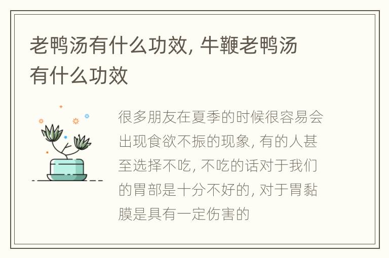 老鸭汤有什么功效，牛鞭老鸭汤有什么功效
