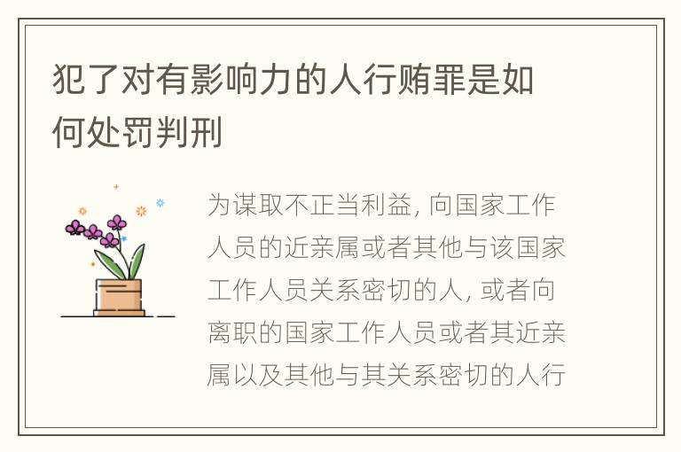 犯了对有影响力的人行贿罪是如何处罚判刑