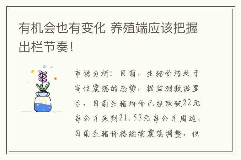 有机会也有变化 养殖端应该把握出栏节奏！