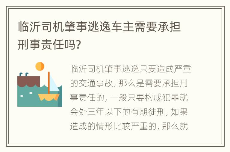 临沂司机肇事逃逸车主需要承担刑事责任吗？